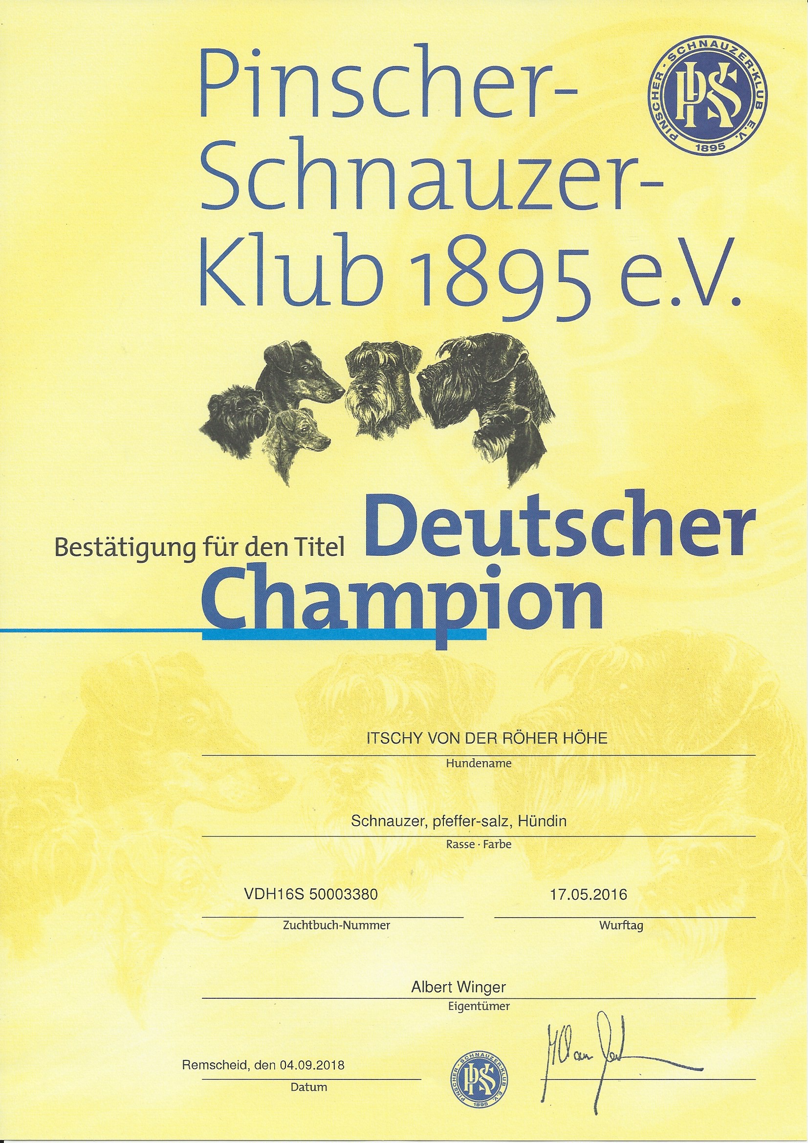 Schnauzer Klub PSK Deutscher Champion 2018